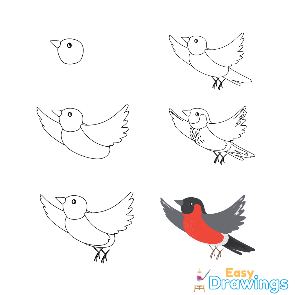 How To Draw Bird Step-By-Step Guide – Handmade With Love